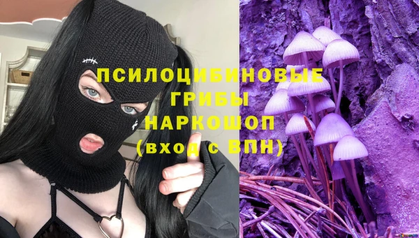 Альфа ПВП Алексин
