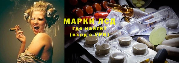 apvp Алзамай