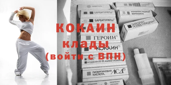 apvp Алзамай