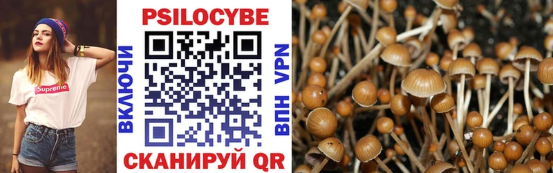 Галлюциногенные грибы Cubensis  купить наркоту  Слюдянка 